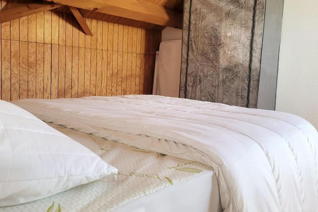Duplex 4/6P Le Familial Διαμέρισμα Laveissière Εξωτερικό φωτογραφία